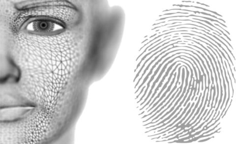 fingerprint-vs-face